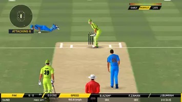 real cricket